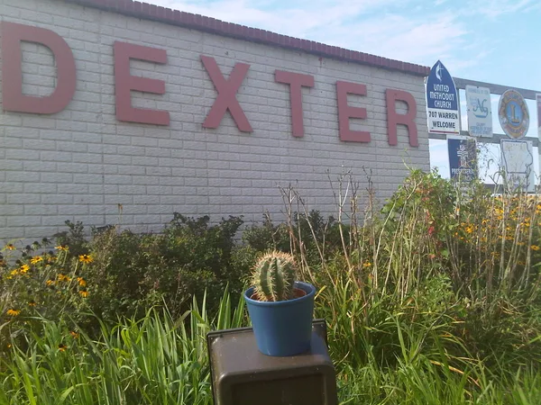 Cactus and distant relatives in Dexter, IA, Pop 419.