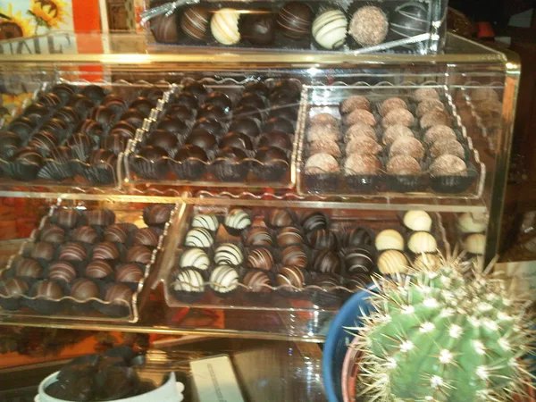 Cactus at Drew's Chocolates, Dexter, IA
