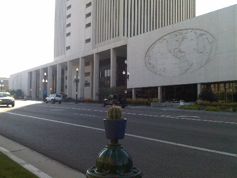 Cactus at Mormon HQ