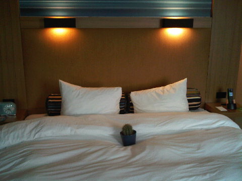 Cactus relaxing at Aloft Denver. He loves it here.