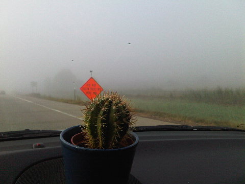Goodbye, Lincoln. We hardly saw ye.