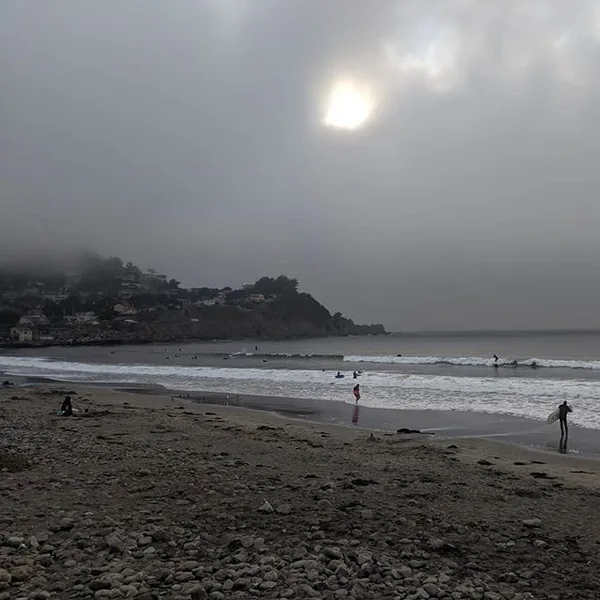 Happy Fogust everyone!