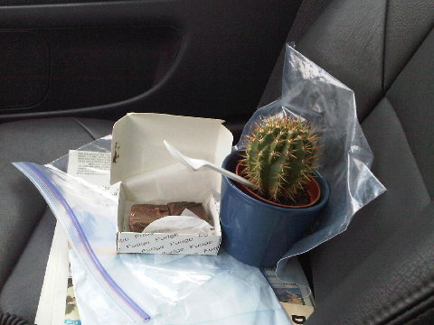 Hey Cactus, that's MY Drew's Chocolate fudge!