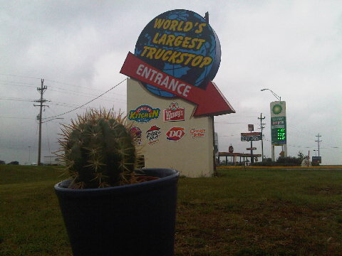 Iowa has so much to offer! Cactus loves it here.