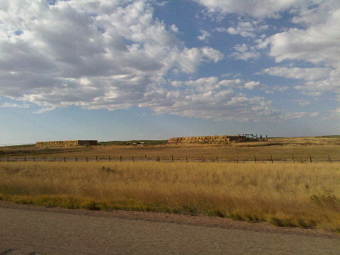 Lower elevation in Wyoming means more green.