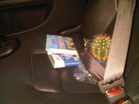 Strapped in and ready to go!