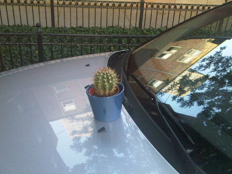 Travelogue - Follow dschach.com and the x2od cactus