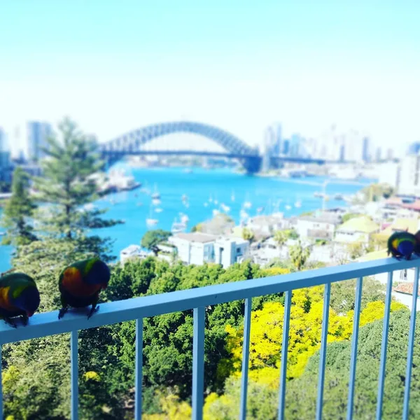 Well-played, Sydney. It's going to be a beautiful week.